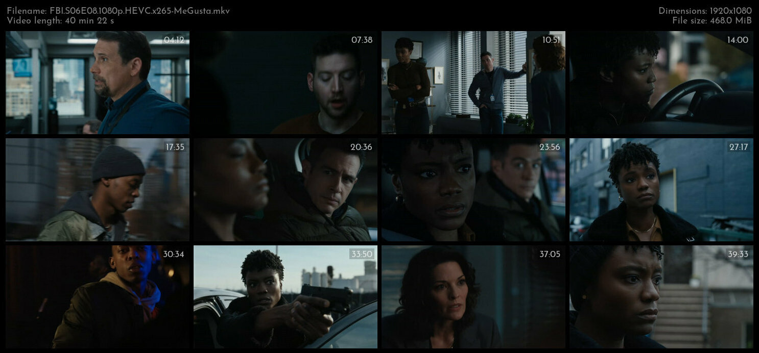 FBI S06E08 1080p HEVC x265 MeGusta TGx