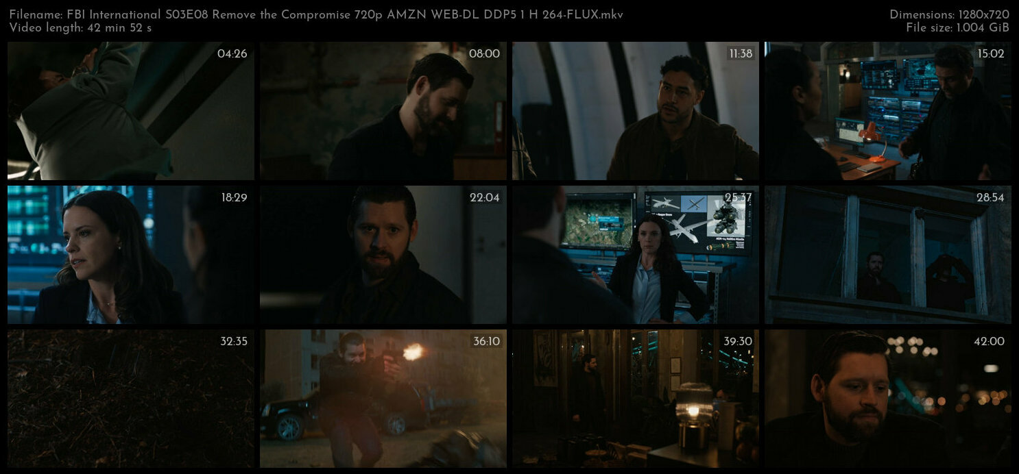 FBI International S03E08 Remove the Compromise 720p AMZN WEB DL DDP5 1 H 264 FLUX TGx