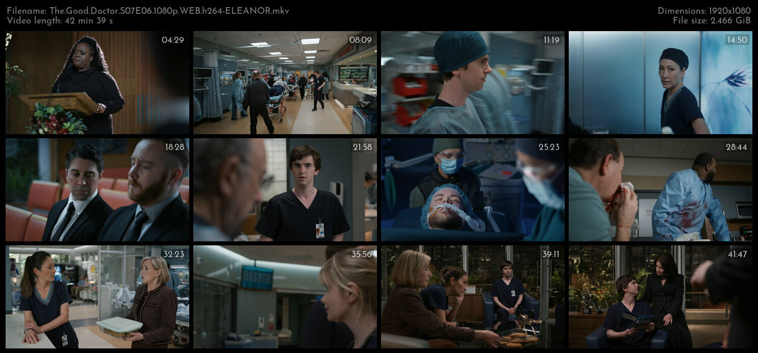 The Good Doctor S07E06 1080p WEB h264 ELEANOR TGx