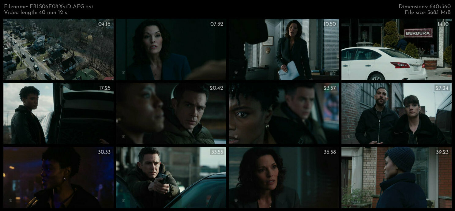 FBI S06E08 XviD AFG TGx