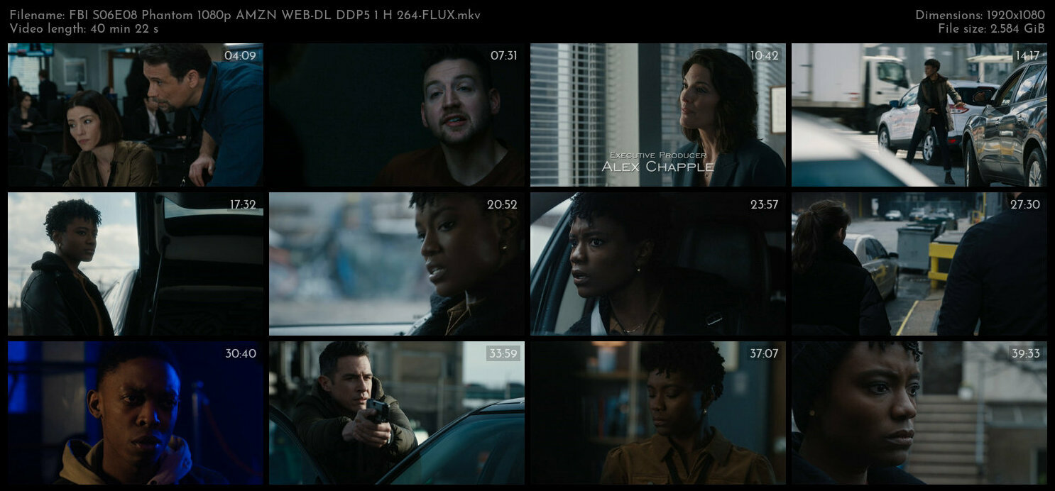 FBI S06E08 Phantom 1080p AMZN WEB DL DDP5 1 H 264 FLUX TGx