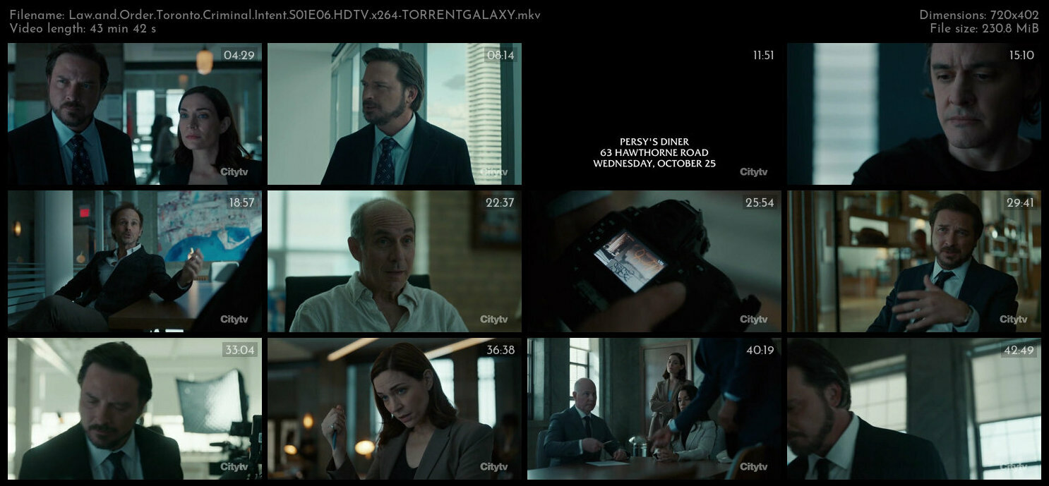 Law and Order Toronto Criminal Intent S01E06 HDTV x264 TORRENTGALAXY