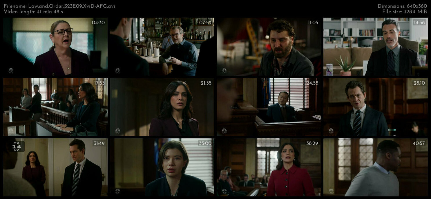 Law and Order S23E09 XviD AFG TGx