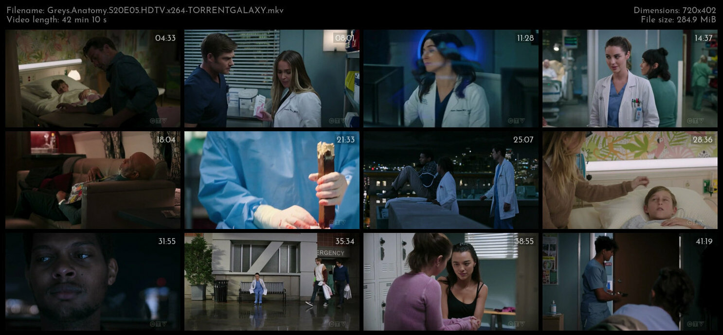 Greys Anatomy S20E05 HDTV x264 TORRENTGALAXY