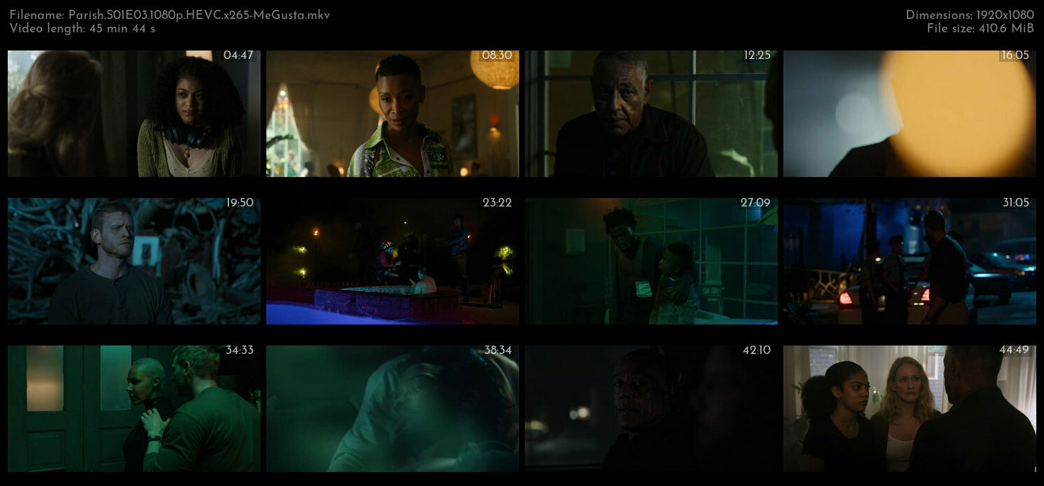 Parish S01E03 1080p HEVC x265 MeGusta TGx