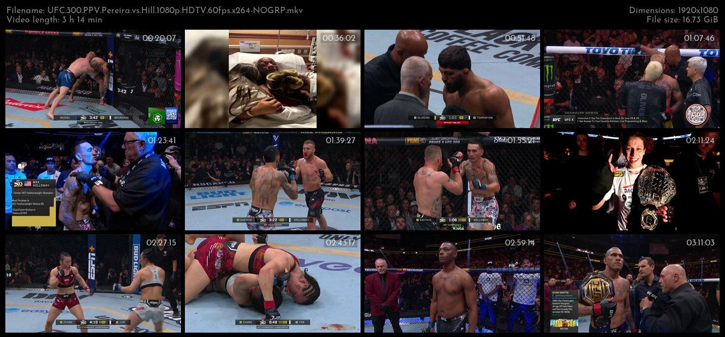 UFC 300 PPV Pereira vs Hill 1080p HDTV 60fps x264 NOGRP TGx