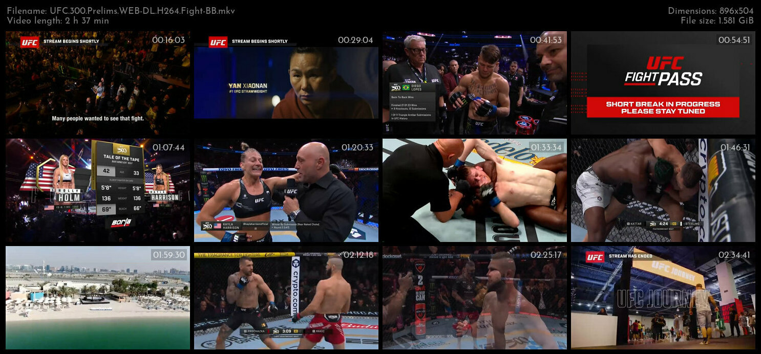 UFC 300 Prelims WEB DL H264 Fight BB