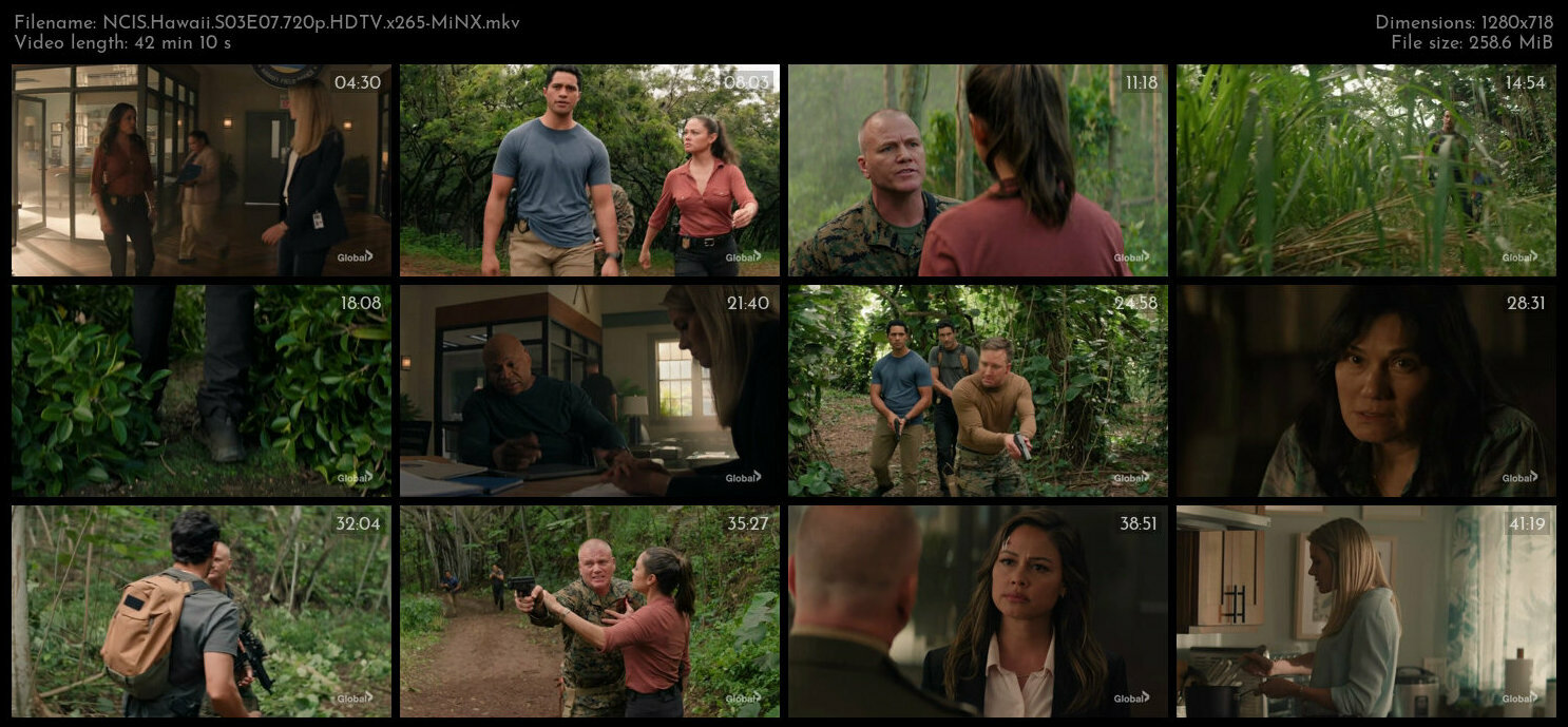 NCIS Hawaii S03E07 720p HDTV x265 MiNX TGx