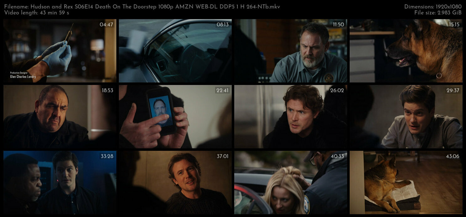 Hudson and Rex S06E14 Death On The Doorstep 1080p AMZN WEB DL DDP5 1 H 264 NTb TGx