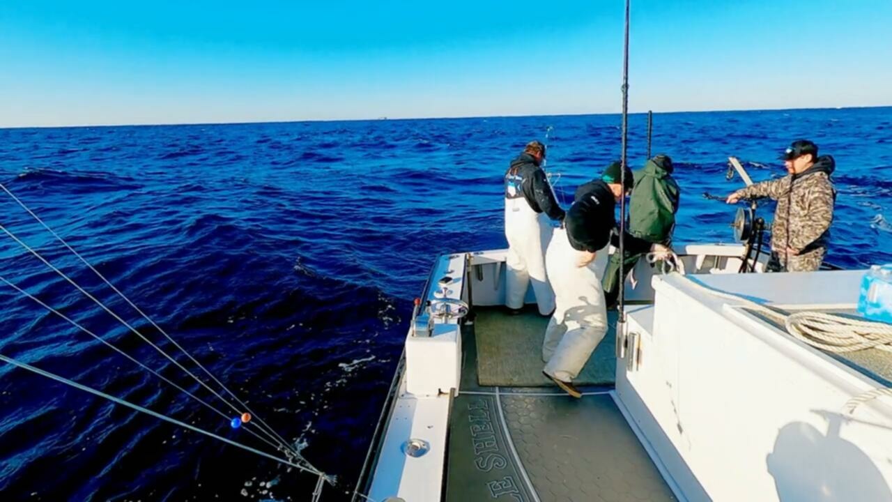 Wicked Tuna Outer Banks S08E12 Tried and True 720p DSNP WEB DL DDP5 1 H 264 NTb TGx