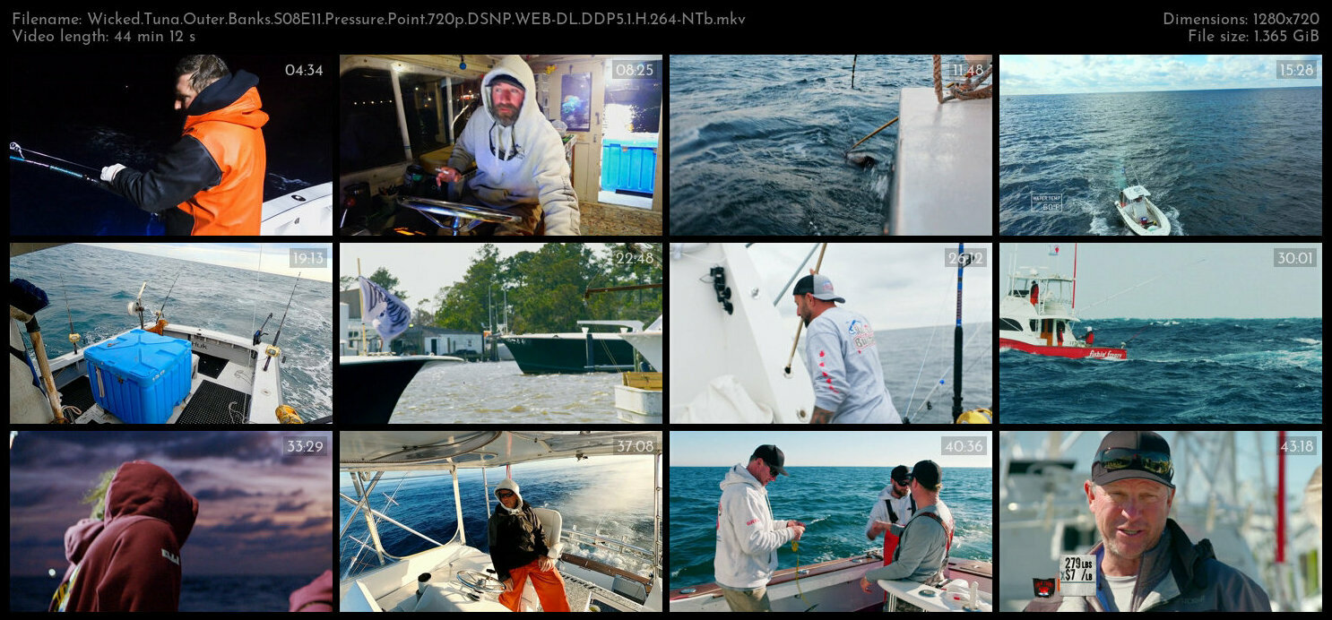 Wicked Tuna Outer Banks S08E11 Pressure Point 720p DSNP WEB DL DDP5 1 H 264 NTb TGx