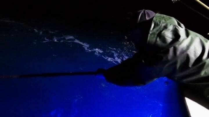 Wicked Tuna Outer Banks S08E16 WEB x264 TORRENTGALAXY