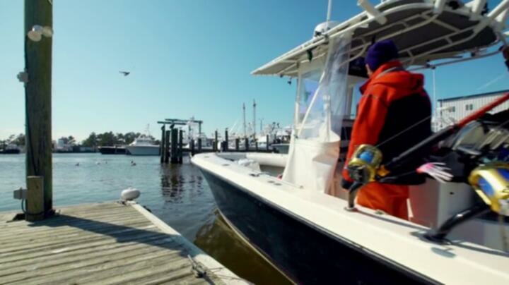 Wicked Tuna Outer Banks S08E15 WEB x264 TORRENTGALAXY