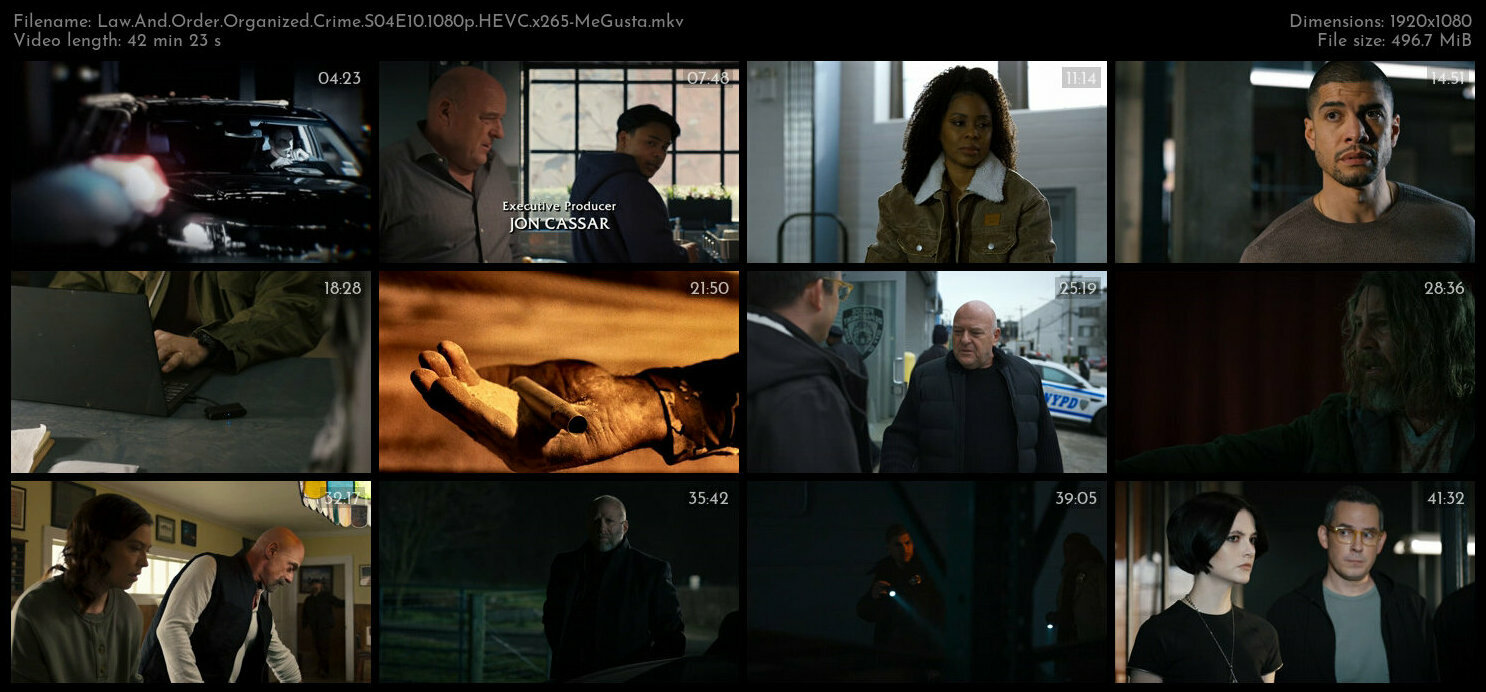 Law And Order Organized Crime S04E10 1080p HEVC x265 MeGusta TGx