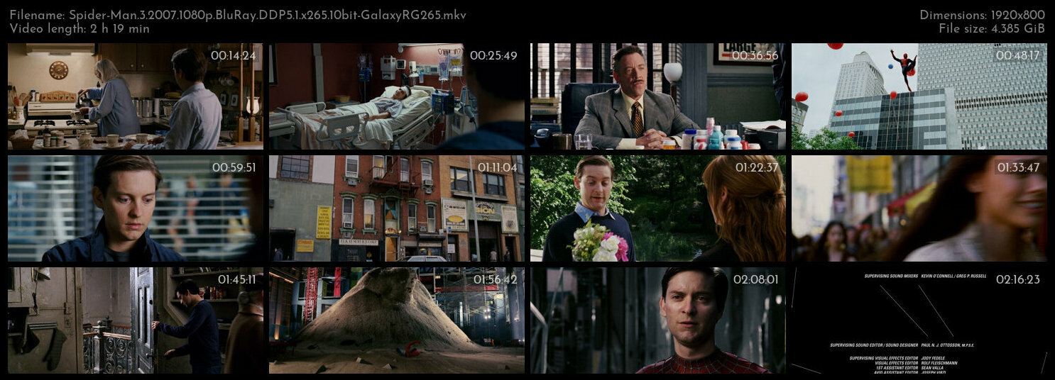 Spider Man 3 2007 1080p BluRay DDP5 1 x265 10bit GalaxyRG265