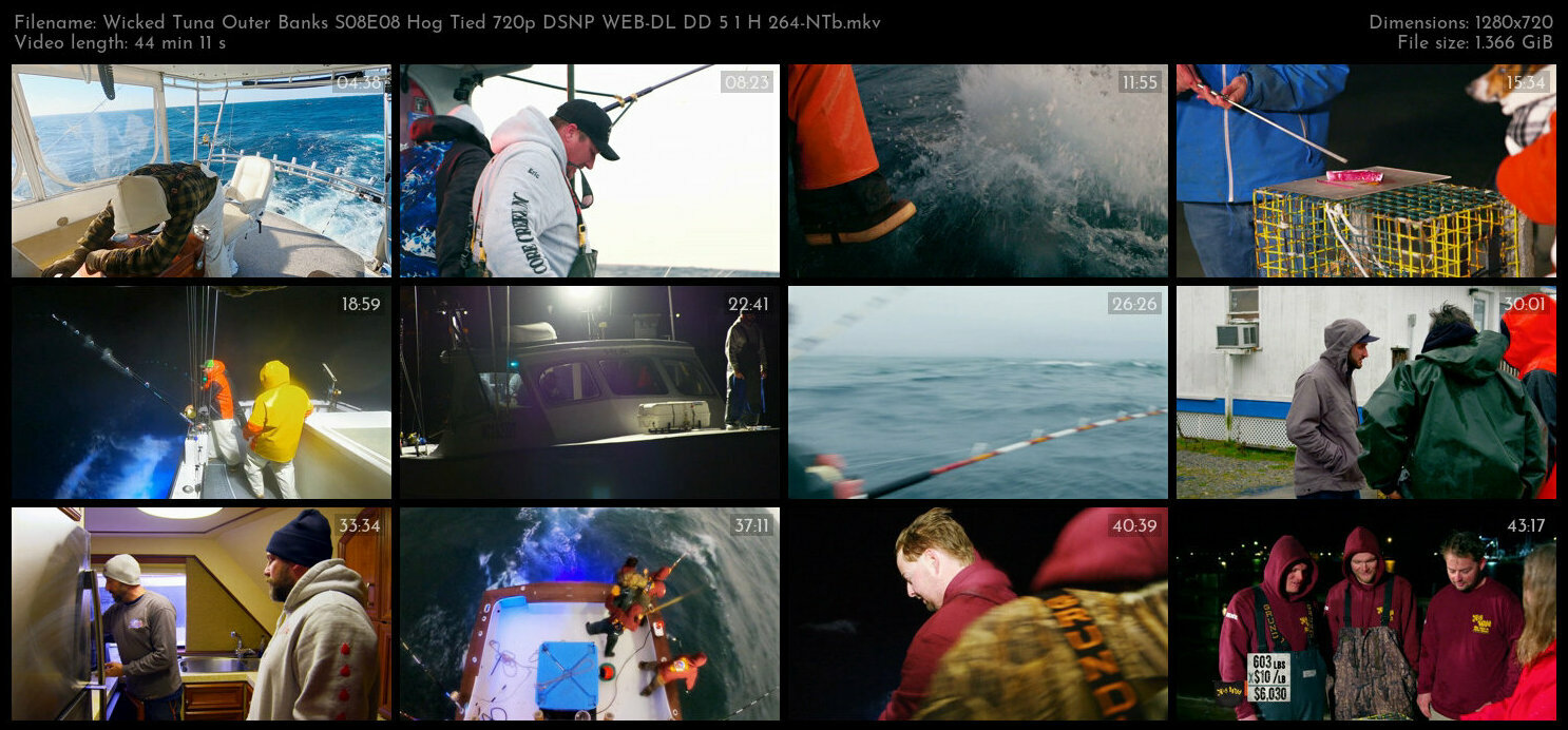 Wicked Tuna Outer Banks S08E08 Hog Tied 720p DSNP WEB DL DD 5 1 H 264 NTb TGx