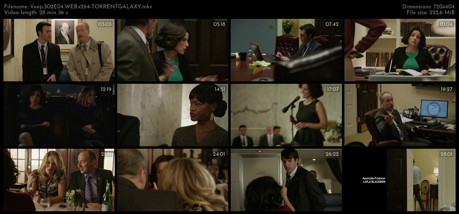 Veep S02E04 WEB x264 TORRENTGALAXY