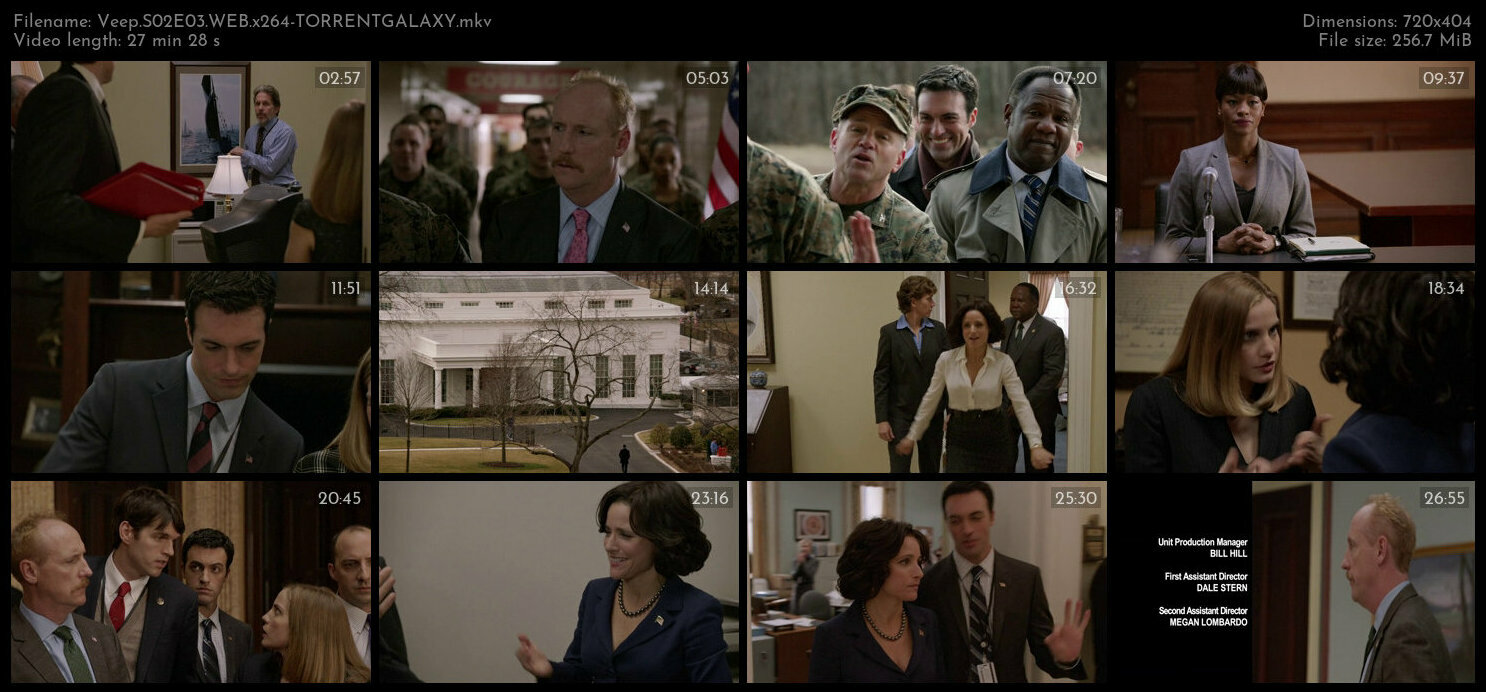 Veep S02E03 WEB x264 TORRENTGALAXY