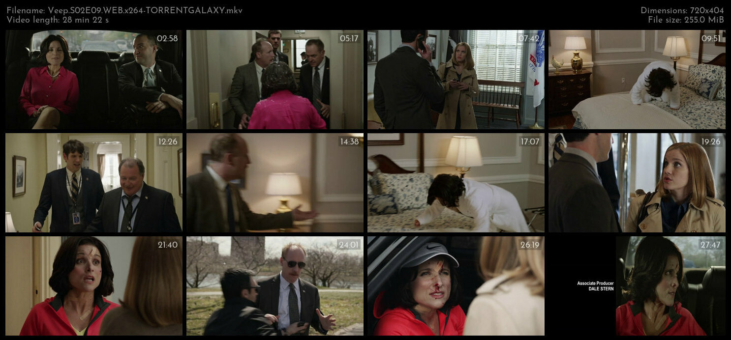 Veep S02E09 WEB x264 TORRENTGALAXY