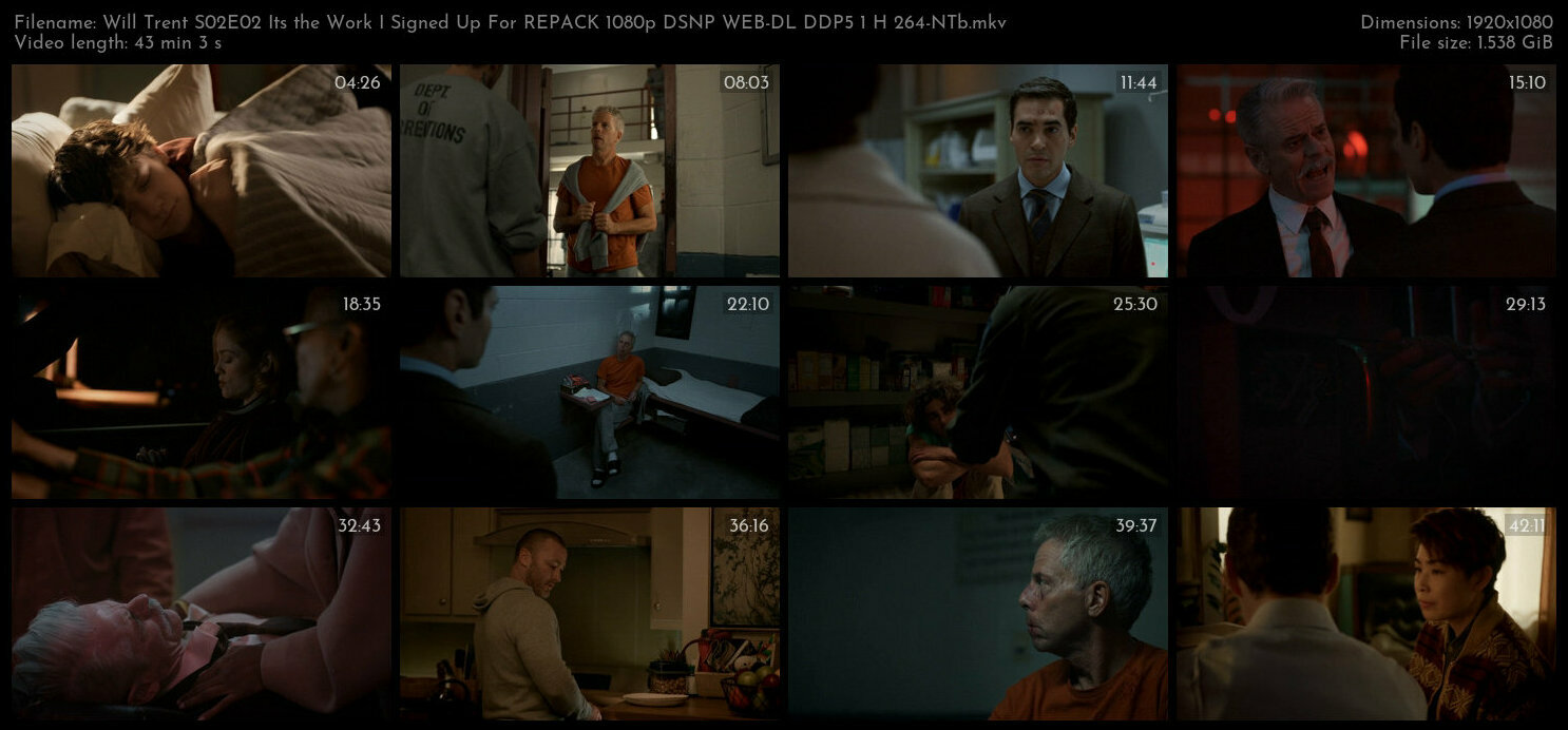 Will Trent S02E02 Its the Work I Signed Up For REPACK 1080p DSNP WEB DL DDP5 1 H 264 NTb TGx