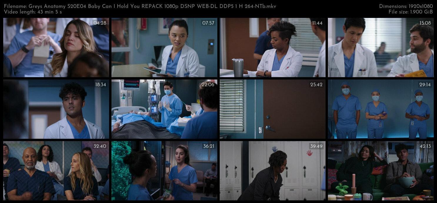 Greys Anatomy S20E04 Baby Can I Hold You REPACK 1080p DSNP WEB DL DDP5 1 H 264 NTb TGx