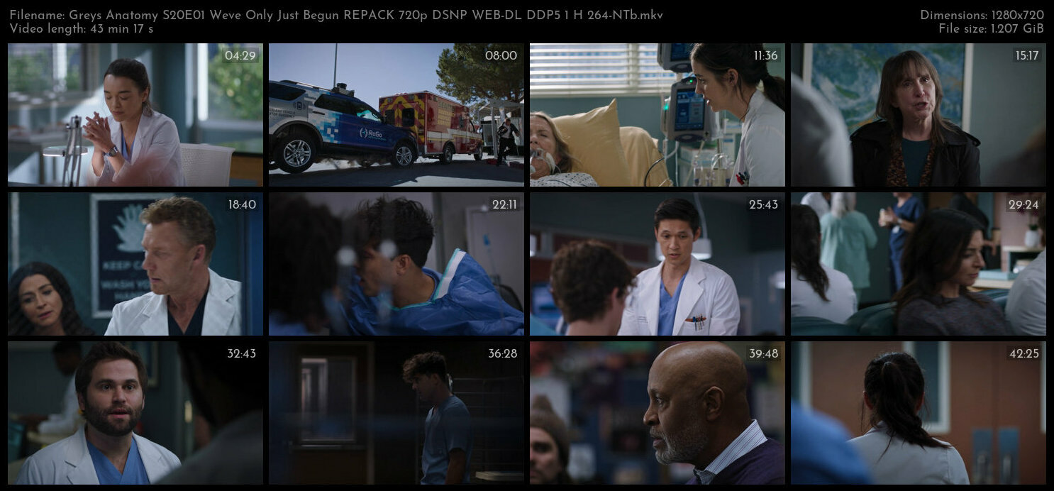 Greys Anatomy S20E01 Weve Only Just Begun REPACK 720p DSNP WEB DL DDP5 1 H 264 NTb TGx