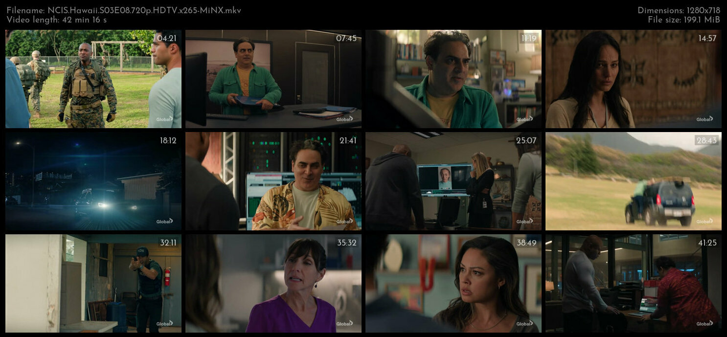 NCIS Hawaii S03E08 720p HDTV x265 MiNX TGx