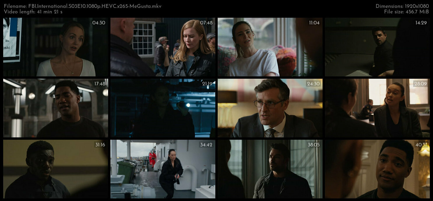 FBI International S03E10 1080p HEVC x265 MeGusta TGx