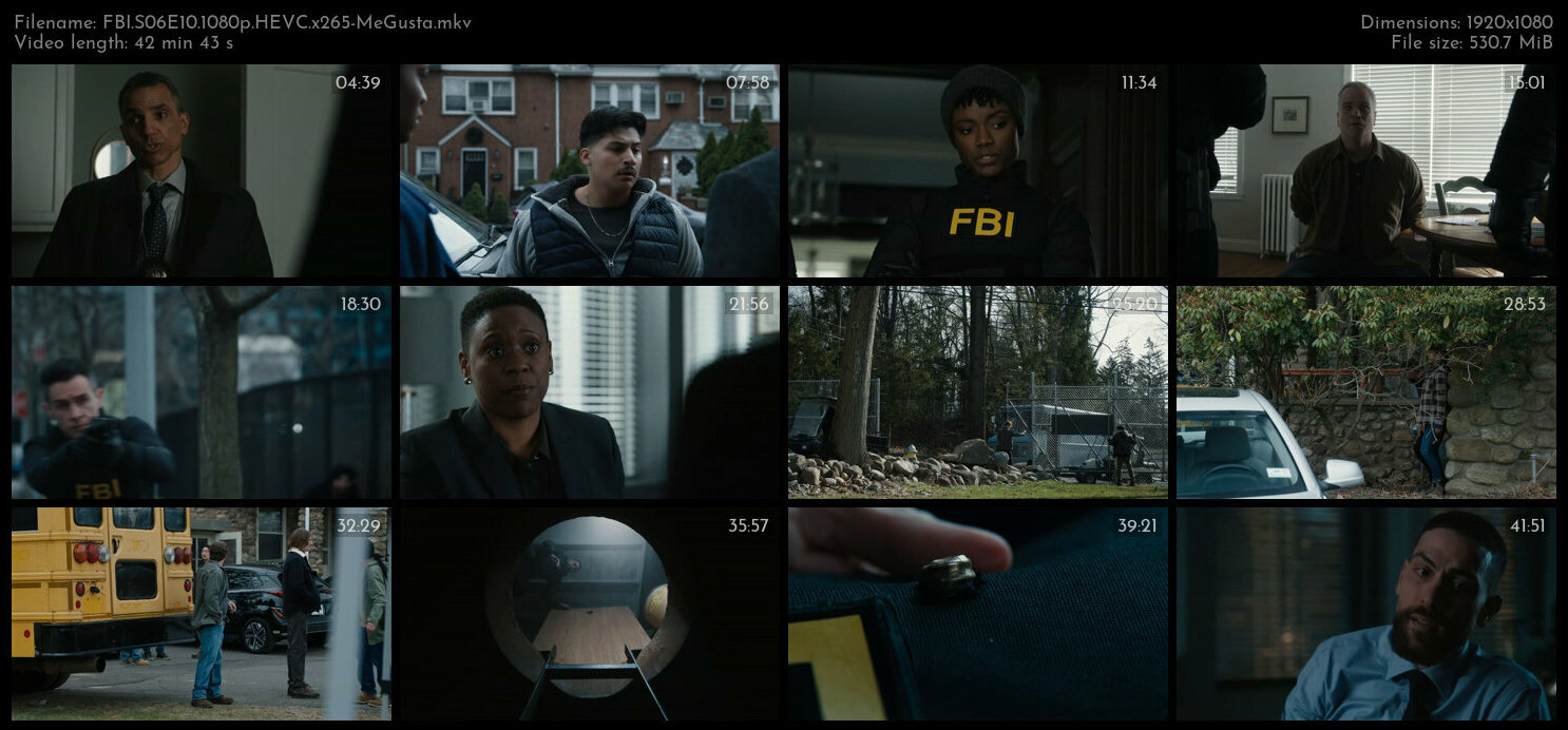 FBI S06E10 1080p HEVC x265 MeGusta TGx