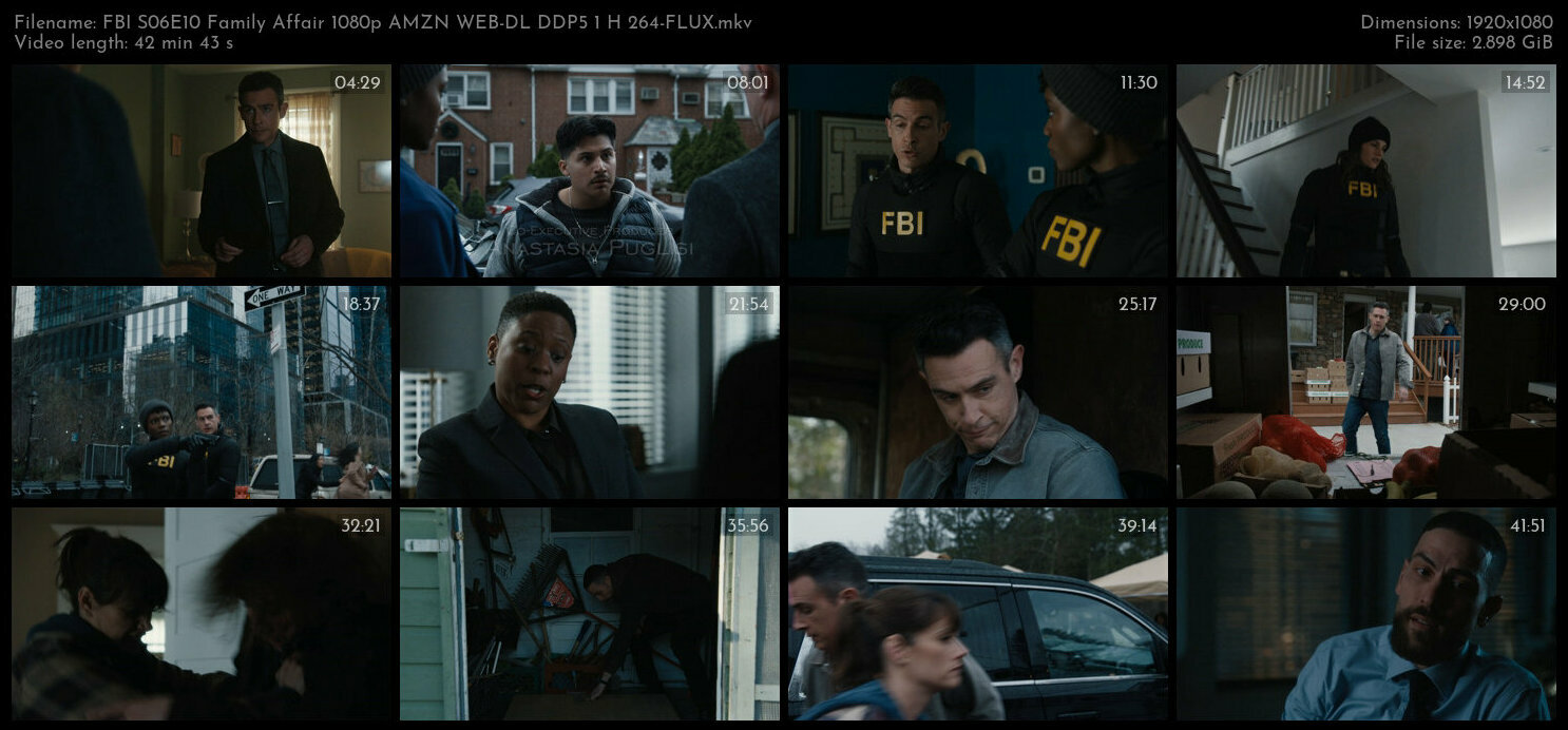 FBI S06E10 Family Affair 1080p AMZN WEB DL DDP5 1 H 264 FLUX TGx