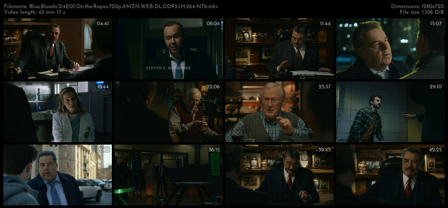 Blue Bloods S14E07 On the Ropes 720p AMZN WEB DL DDP5 1 H 264 NTb TGx