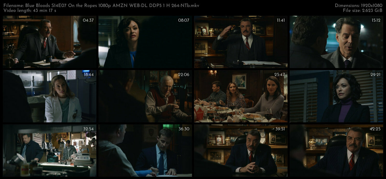 Blue Bloods S14E07 On the Ropes 1080p AMZN WEB DL DDP5 1 H 264 NTb TGx
