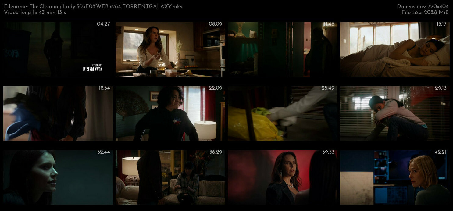 The Cleaning Lady S03E08 WEB x264 TORRENTGALAXY
