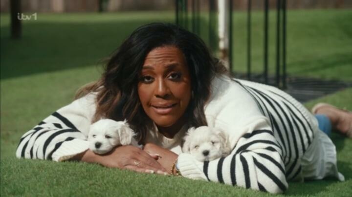 For the Love of Dogs with Alison Hammond S12E03 HDTV x264 TORRENTGALAXY