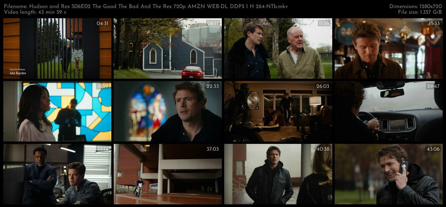 Hudson and Rex S06E02 The Good The Bad And The Rex 720p AMZN WEB DL DDP5 1 H 264 NTb TGx