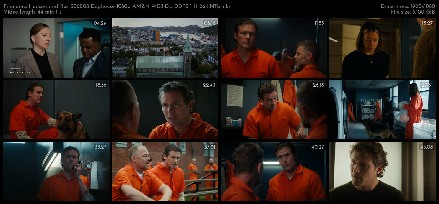 Hudson and Rex S06E08 Doghouse 1080p AMZN WEB DL DDP5 1 H 264 NTb TGx