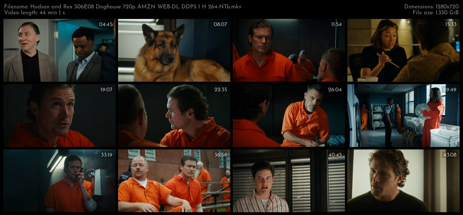 Hudson and Rex S06E08 Doghouse 720p AMZN WEB DL DDP5 1 H 264 NTb TGx