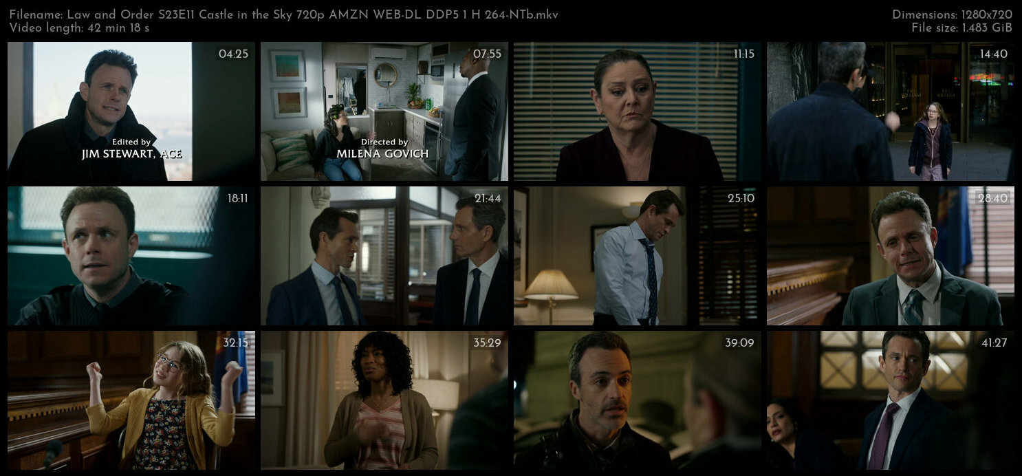 Law and Order S23E11 Castle in the Sky 720p AMZN WEB DL DDP5 1 H 264 NTb TGx