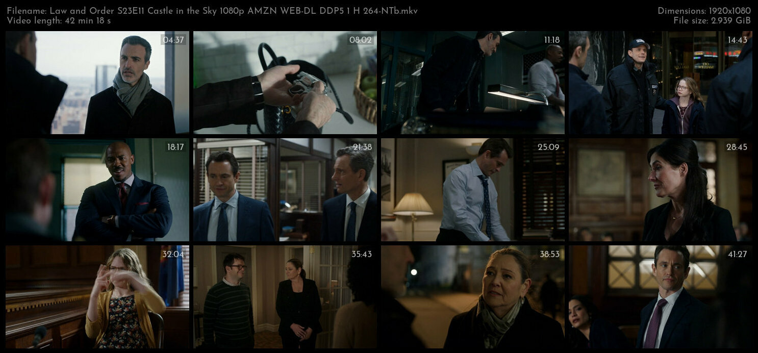 Law and Order S23E11 Castle in the Sky 1080p AMZN WEB DL DDP5 1 H 264 NTb TGx