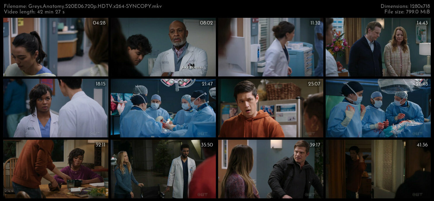 Greys Anatomy S20E06 720p HDTV x264 SYNCOPY TGx