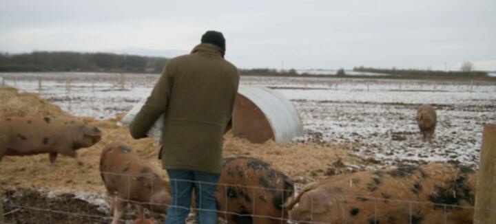 Clarksons Farm S03E03 WEB x264 TORRENTGALAXY