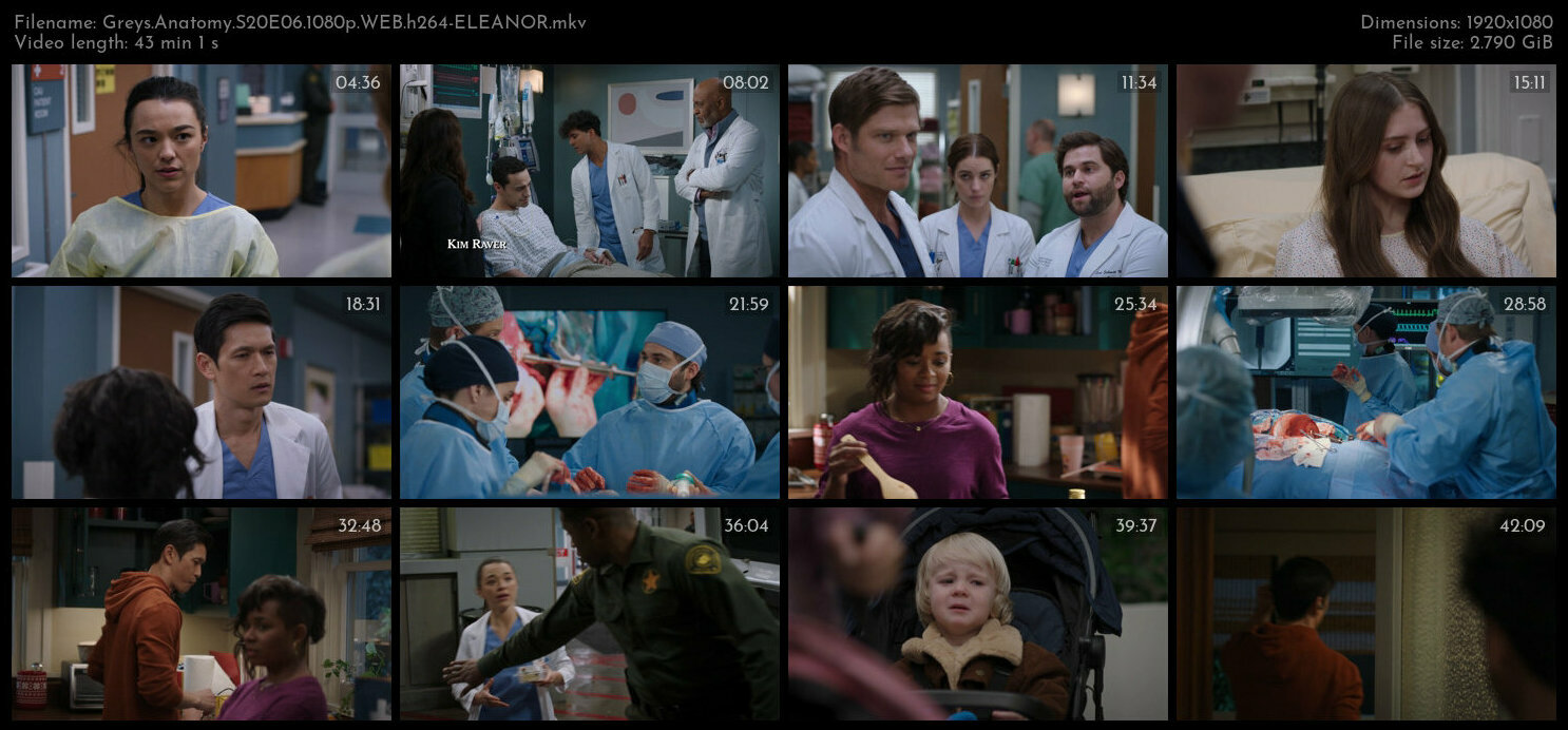 Greys Anatomy S20E06 1080p WEB h264 ELEANOR TGx