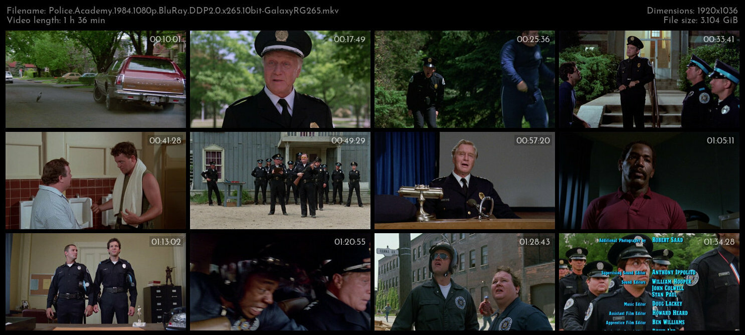 Police Academy 1984 1080p BluRay DDP2 0 x265 10bit GalaxyRG265