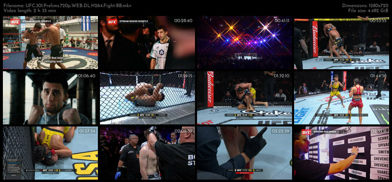 UFC 301 Prelims 720p WEB DL H264 Fight BB