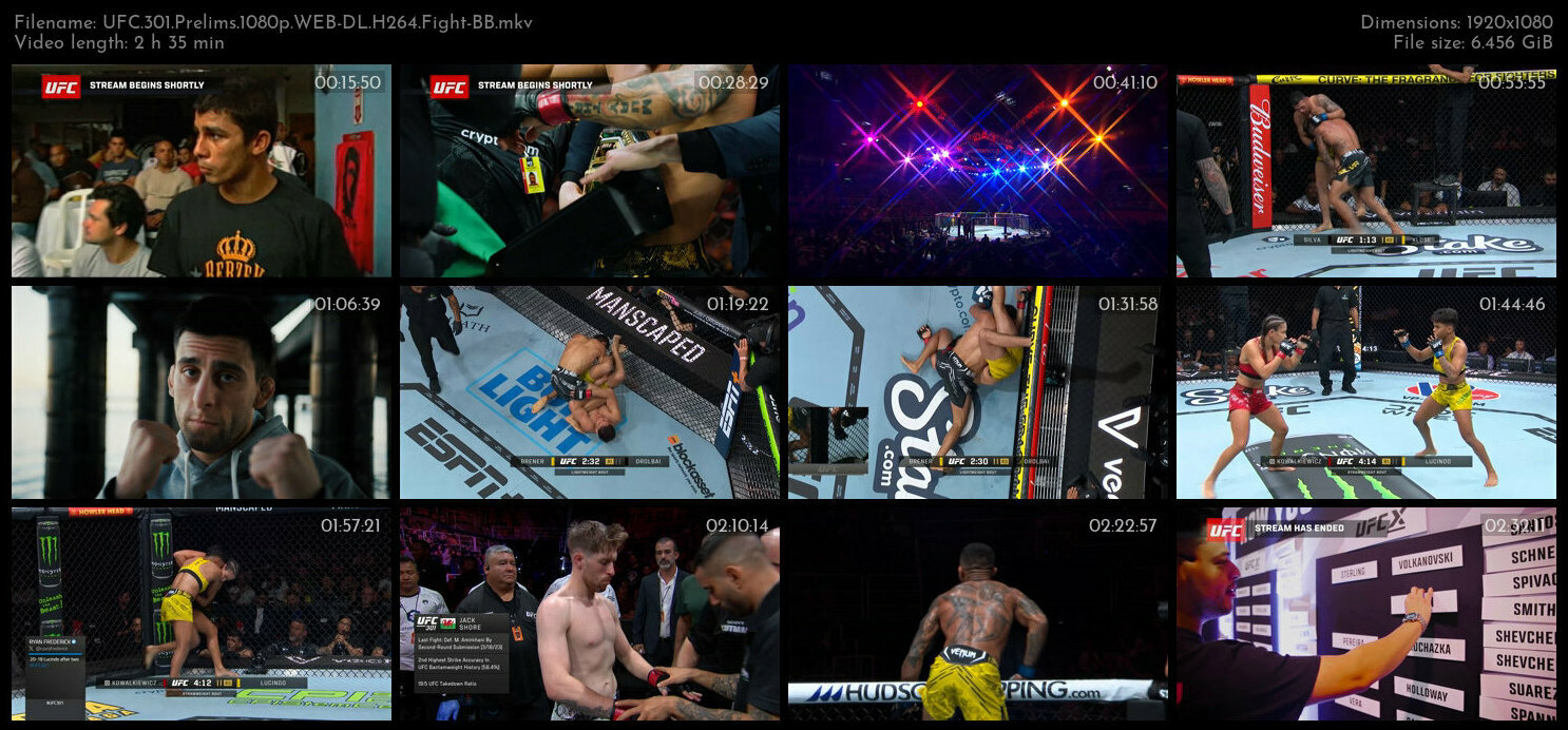 UFC 301 Prelims 1080p WEB DL H264 Fight BB