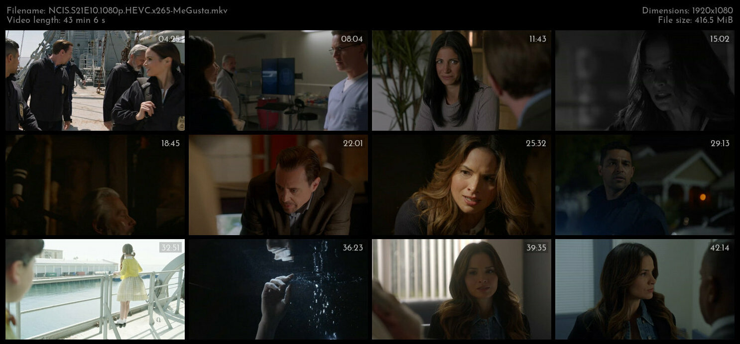 NCIS S21E10 1080p HEVC x265 MeGusta TGx