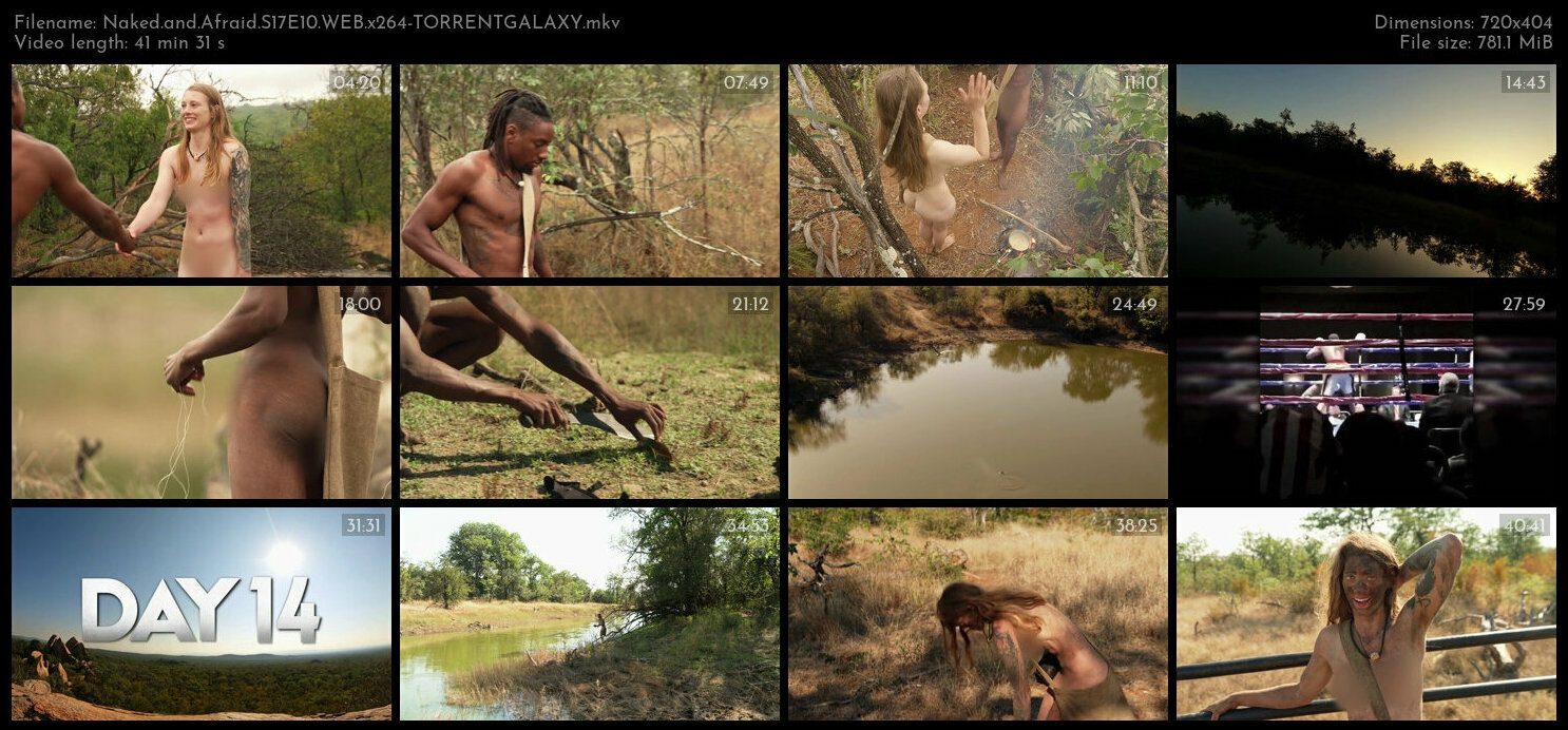 Naked and Afraid S17E10 WEB x264 TORRENTGALAXY