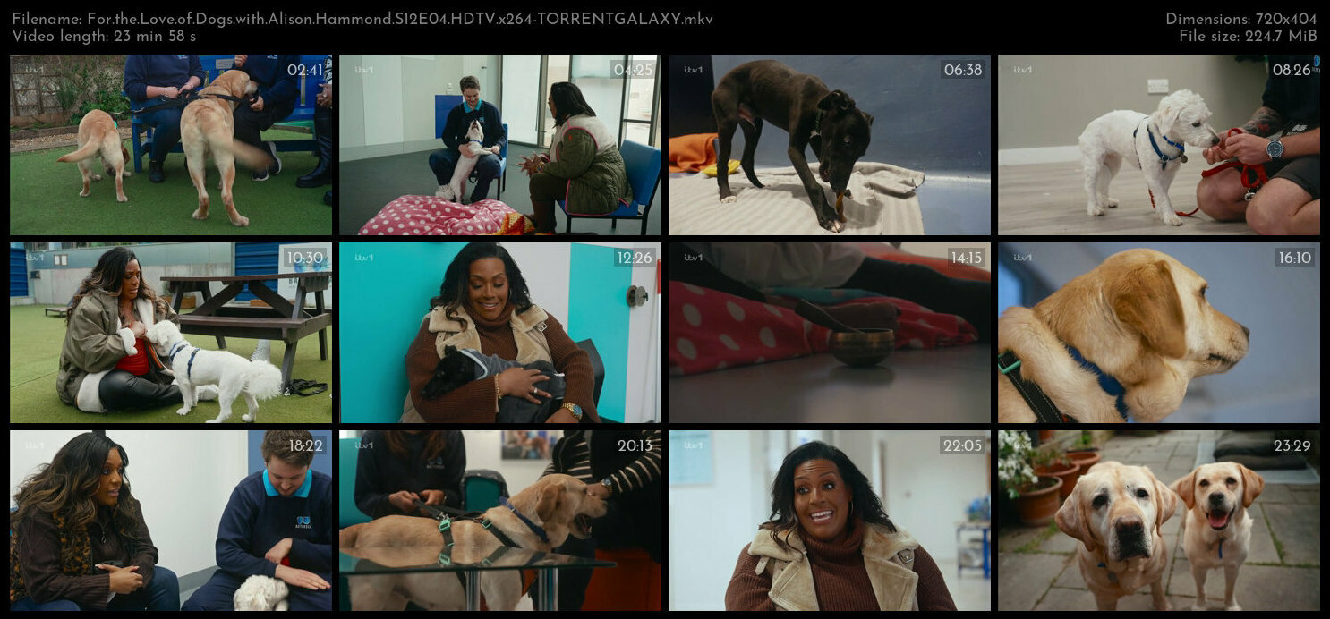 For the Love of Dogs with Alison Hammond S12E04 HDTV x264 TORRENTGALAXY