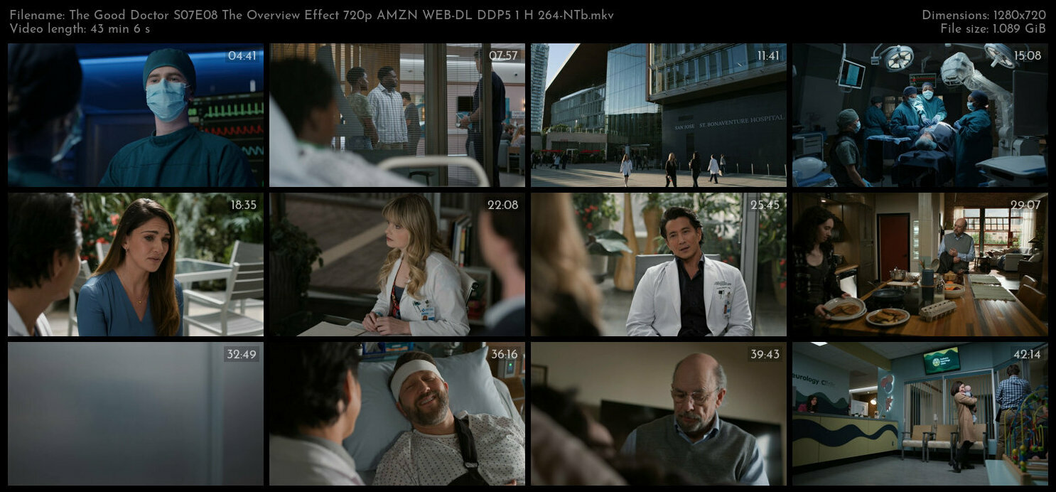 The Good Doctor S07E08 The Overview Effect 720p AMZN WEB DL DDP5 1 H 264 NTb TGx
