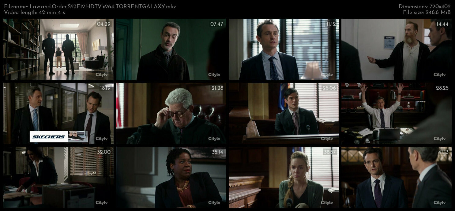 Law and Order S23E12 HDTV x264 TORRENTGALAXY